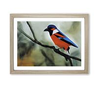 Hypnotic Bird Framed Wall Art Print A2 Oak