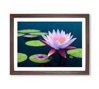 Hypnotic Water Lily Flower Framed Print | A2 Walnut Framed Wall Art | Ready to Hang | Modern Floral Picture | Living Room Bedroom Lounge Office