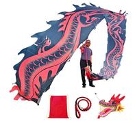 HYQING Dragon Poi Black Dragon Spinning Ribbons, Square Exercise Dragon Streamer with Eastern Dragon Pattern, Fitness/Juggling Dragon Design Art Dance Flag(8 m (26 ft))