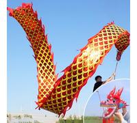 HYQING Dragon Poi Golden Scale Dragon Ribbon Poi, Fitness Sports Dragon Streamer Flinging Ribbo with Gold Stamping Process, Art Dance Flag for Juggling/Gym(Red,6 m (20 ft))