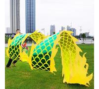 HYQING Dragon Poi Green Scale Fitness Dragon Flinging Ribbon, Dragon Design Art Dance Flag with Travel Bag, Dragon Spinning Ribbons for Event Celebration/Juggling(8 m (26 ft))