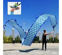HYQING Dragon Poi Outdoor Fitness Dragon Poi Spinning Ribbons, Gymnastics Training Dragon Flinging Ribbon, Juggling Dragon Streamer with Real-Like Dragon Head(Blue,10 m (33 ft))