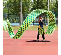 HYQING Dragon Poi Outdoor Sports Dragon Dance Ribbon, Green Dragon Streamer with Steel Dragon Head & Travel Bag, Adults/Seniors/Youth Fitness Flinging Ribbon(8 m (26 ft))