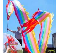 HYQING Dragon Poi Rainbow Modeling Dragon Dance Ribbon, Flowy Dragon Streamer Kites Set with 3D Real-Like Dragon Head, Square Exercise Colorful Dragon Streamer(8 m (26 ft))