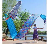HYQING Dragon Poi Washable Colorful Dance Dragon Streamer, Dragon Design Spinning & Shaking Poi with Dragon Head, Outdoor Sports Flinging Ribbon for Seniors(Blue,10 m (33 ft))