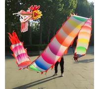 HYQING Dragon Poi Washable Rainbow Dragon Spinning Ribbons, Silk-like Dragon Design Spinning & Shaking Poi, Square Fitness/Gymnastics Colorful Dragon Streamer(10 m (33 ft))