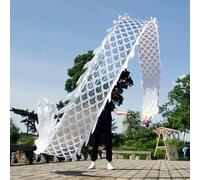 HYQING Dragon Poi White Dance Dragon Poi Set, Silk-like Dragon Dance Spinning Ribbon with Dragon Head, Outdoor Sports Dragon Streamer for Juggling/Fitness(8 m (26 ft))