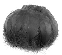 HYQOUKLR Craft Feathers, 100pcs Multicolor 2-3 Inches Feathers for Crafts, Dream Catcher, Wedding, Party Decorations(Black 2-3inch)