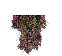 HYRTEFBN 6G/bag VineMiniature Materials Diorama Accessories(Purple 6g)