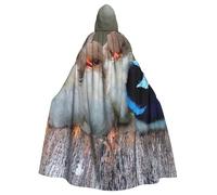 HYSDPUZK Halloween Hooded Cloak For Unisex Adults Fun Four Birds Print Party & Cosplay Capeâ€‹