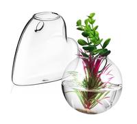 HYTROVE 2 Pcs Wall Planters Borosilicate Glass Hydroponic Vases for Indoor Gardening Effortless Wall Mounting with Included Hardware Durable and Stylish Greenery Decor