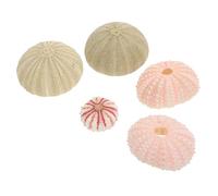 HYTROVE 5pcs Sea Urchin Shells Air Plant Pots Fish Tank Landscaping Decor for Small Aquarium
