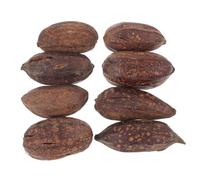 HYTROVE 8pcs Natural Dried Fruit Parrot Chew for Cage Birds Foraging and Shredding Biting to Reduce Boredom and Protect Furniture Safe Natural Material for Budgie Cockatiel Lovebird