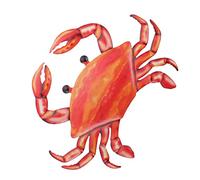 HYTROVE Creative Red Iron Crab-shaped Wall Decor for Indoor Space Artistic and Natural Wall Hanging Decoration