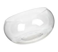 HYTROVE Glass Fish Bowl for Goldfish with Multi-functional Design, for DIY Miniature Water Garden and Home Decoration