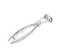 Hyuduo Cherry Pitter, Aluminum Alloy Cherry Seed Remover, Hand Tool for Pitting Cherries and Olives, 19cm for Home Kitchen Use