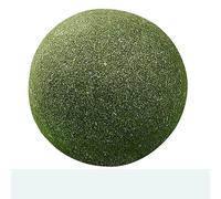 HYUIND Super Large Catnip Ball 10cm Cat Grass Self-Hi Relieving Stuffy Insect Gall Fruit Giant Pet Bite Molar Pet Cat Toy