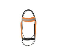 HyVIZ Reflector Bridle Bands - Orange - One Size