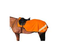HyVIZ Reflector Exercise Sheet - Orange - 4'9"