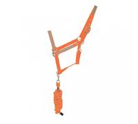 HyVIZ Reflector Head Collar and Lead Rope - Orange - Cob