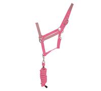 HyVIZ Reflector Head Collar and Lead Rope - Pink - Full