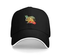 HZCRAES Casual Hat Iran National Flag Lion and Sun Sandwich Cap Adjustable Ball Cap Hip Hop Dad Trucker Hats Unisex Sun Visor Fishing Hat Storm Caps for Golf Outdoor Travel Black