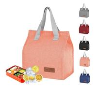 hzfengsheng Lunch Bags for Women Men, Portable Insulated Leak-Proof Waterproof Lunch Bag Tote Bag, Thermal Cooler Bag Lunch Organizer for Kids, Girls, Boys, Work School Travel Picnic (Pink)