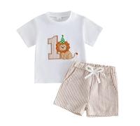 HZPHQY Baby Boy First 1st Birthday Outfit Short Sleeve T Shirt Shorts Set | Lion/Bear/Dinosaur 1 Embroidery Cake Smash Wild One Summer Clothes