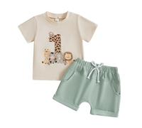 HZPHQY Infant Baby Boy First 1st Birthday Outfit Animal Print Tops T Shirt Shorts Sets Summer Clothes