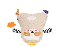 Hztyyier Baby Soft Velvet Security Blanket for Newborn, Soothing Sleeping Companion for Babies, Unbreakable Washable Plush Toy for Infants (Raccoon)