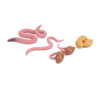 Hztyyier Geothermal Growth Cycle Model, Detailed Educational Toy for, Provides an Interesting Way to Learn, 4 Stage Life Cycle Models for Science Teaching, Plastic Material, Pack of 4