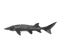 Hztyyier Plastic -stord fishing Model for Residential Brands Market Exhibitions, Great for Photography Props 6.1 Inches (M-1528 Chinese Sturgeon)