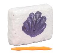 Hztyyier Stone Excavation Set for Practical Learning and Endless Fun - 18 Piece Stone Excavation Set with Chisels Encourages Interest in Geology and Earth Sciences (Type 1 for Above 6 Years Old)