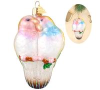 Hzyc Bird Christmas Tree Ornaments,Handmade Blown Glass Ornaments,Bird Watcher Collection Hanging Ornament,Christmas Decorations for Animal Lovers Holiday Party Home Gifts