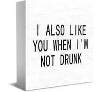 I Also Like You When I'M Not Drunk Wooden Box Sign Decorative Funny Office Home Decor Rustic Farmhouse Square Desk Decor Sign For Shelf 5 X 5 Inches