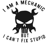 I Am A Mechanic, But I Can't Fix Stupid - Die Cut Vinyl Decal for Cars, Trucks, Motorcycles, Vans, Laptops, ToolBoxes, Windows, Mobiles, etc (Orange, 4x4)