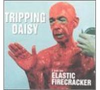 I Am an Elastic Firecracker by Tripping Daisy