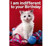 I am Indifferent to Your Birthday Funny Birthday Card