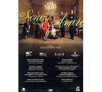 I Am Love DVD DOLMEN HOME VIDEO