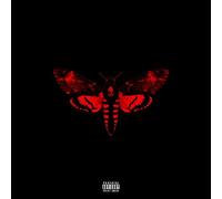 Lil Wayne - I Am Not A Human Being II