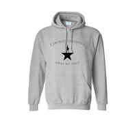 I Am Not Throwing Away My Shot Grey Medium Hoodie | Inspirational Quote Hoodie | Motivational Graphic Sweatshirt | Unisex Grey Pullover Hoodie for Men & Women | Broadway Fan Gift Idea