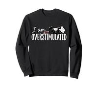 I Am Overstimulated Possum Funny Cute Animal Saying Sweatshirt