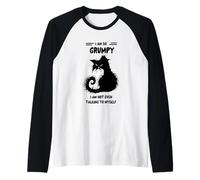 I Am So Grumpy I Am Not Even Talking to Myself Raglan Baseball Tee