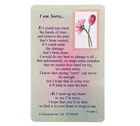 I am Sorry .Wallet Card (Sentimental Keepsake Wallet/Purse Card)