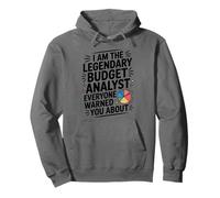 I Am The Legendary Budget Analyst, Accounting Finance Pullover Hoodie