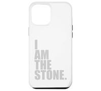 I Am The Stone David and Goliath Story Christian God Lover Case for iPhone 12 Pro Max