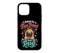 I Asked for a True Friend So He Sent a Pug Case for iPhone 12 mini