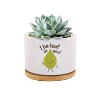 I Be-Leaf in You Plant Lover Gifts Funny Humor Inspirational Motivational Gifts Gardener Gardening Ceramic Succulent Plant Pot with Bamboo Tray Round Home Office Decor 3.5 Inch White