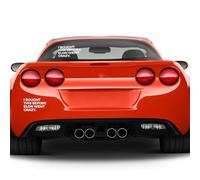 I Bought This Before Elon Went Crazy,White Car Sticker,Waterproof and Sun-Proof Bumper Sticker, Self-Adhesive Design,Lettering in White for Car Windows,Home Decoration and Laptops,12 * 6cm