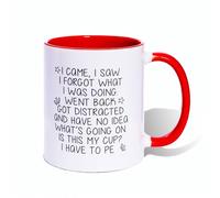 I Came I Saw I Forgot Ceramic Coffee Mug - 11 oz/300 ml Funny Large Tea Cup,Birthday Christmas Novelty Unique Gift for Son Dad Brother Uncle Colleague Friend (Red)